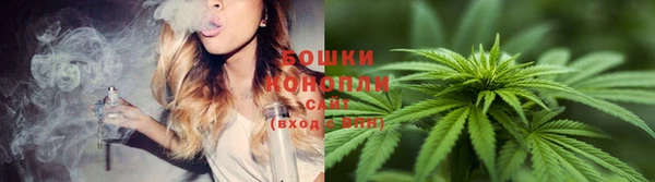 стафф Михайловка