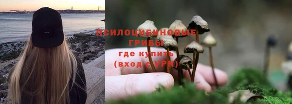 стафф Михайловка