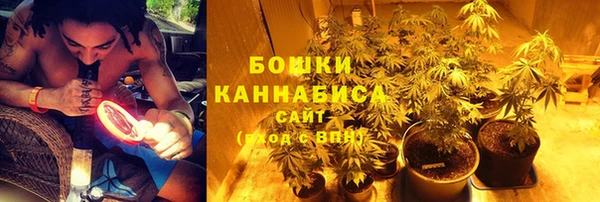 стаф Михайловск